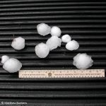 This is a picture of hailstones alongside a ruler.