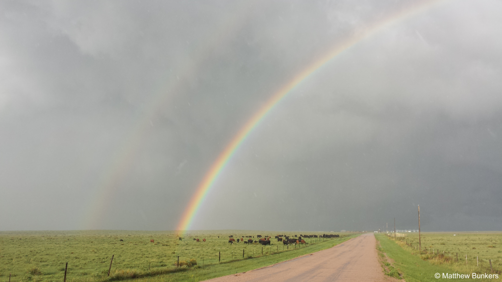 This is a picture of a rainbow over a pasture with cattle in eastern Colorado/western Kansas on 5 June 2016. My qualifications & education provide many examples of working with severe storms.